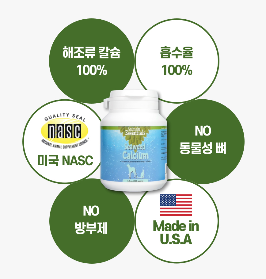 애니멀에센셜 해조칼슘 강아지 칼슘 뼈 골다공증 영양제 분말 화식 재료 이미지 2