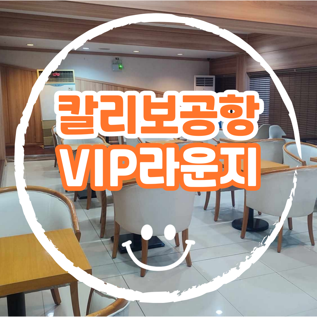 보라카이 칼리보 공항 내부 VIP 라운지 - 상품 이미지