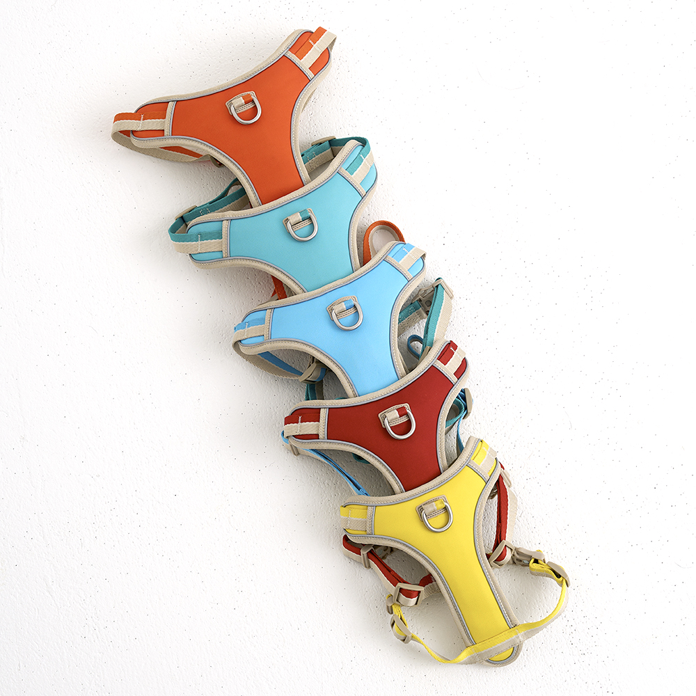 하웃 강아지 하네스 앞섬방지 가슴줄 H형 리드줄 세트