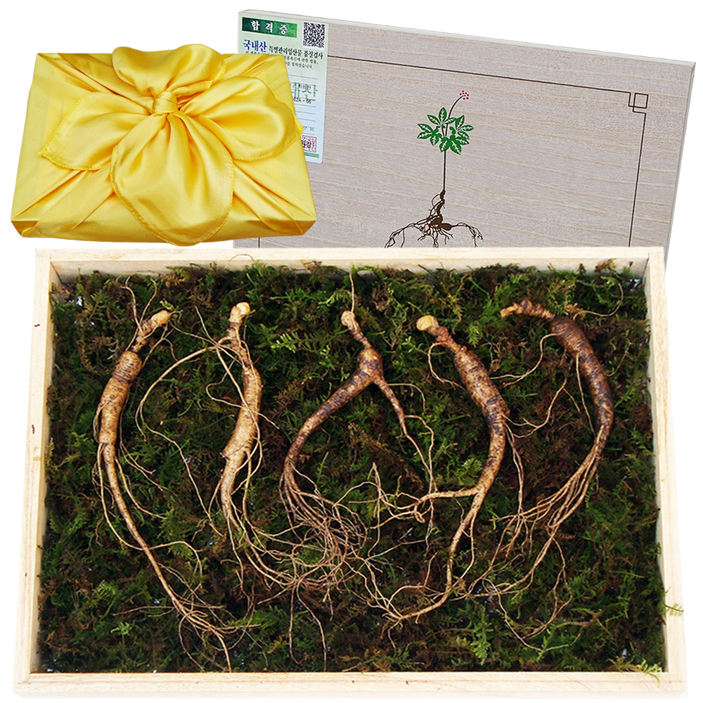 아리아리산삼 9-10년근 5뿌리 산양삼 장뇌삼 산양산삼 자연산 설 추석 명절 선물세트 면역력