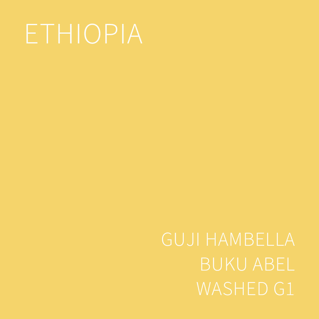 에티오피아 구지 함벨라 부쿠 아벨 워시드 G1 5KG (ETHIOPIA GUJI HAMBELLA BUKU ABEL WASHED)
