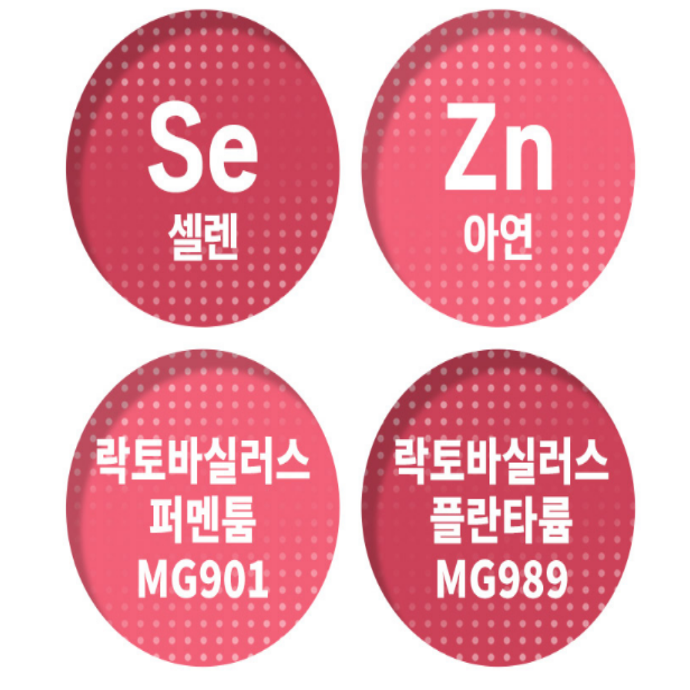 내츄럴플러스 질유산균 질 유래 건강 유산균 MG989 MG901 이미지 8