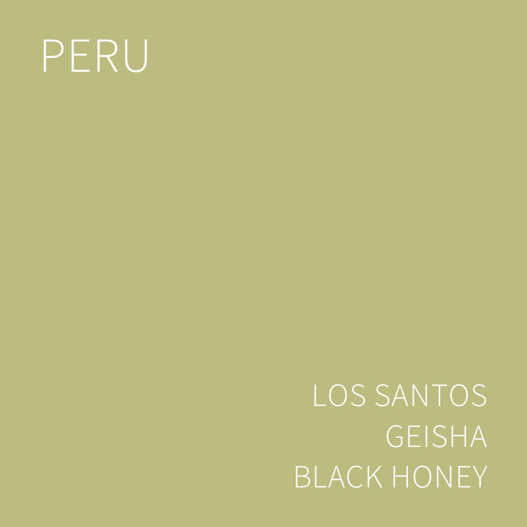 페루 로스 산토스 게이샤 블랙 허니 5KG (PERU LOS SANTOS GEISHA BLACK HONEY)
