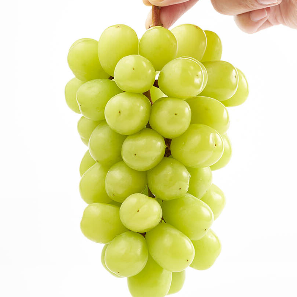 씨없는 청포도 경북 샤인머스켓 4kg : 굿데이올데이