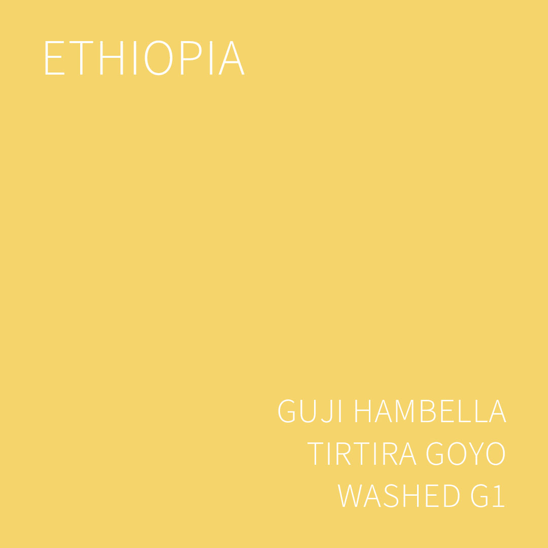 에티오피아 구지 함벨라 티르티라 고요 워시드 G1 5KG (ETHIOPIA GUJI HAMBELLA TIRTIRA GOYO WASHED)