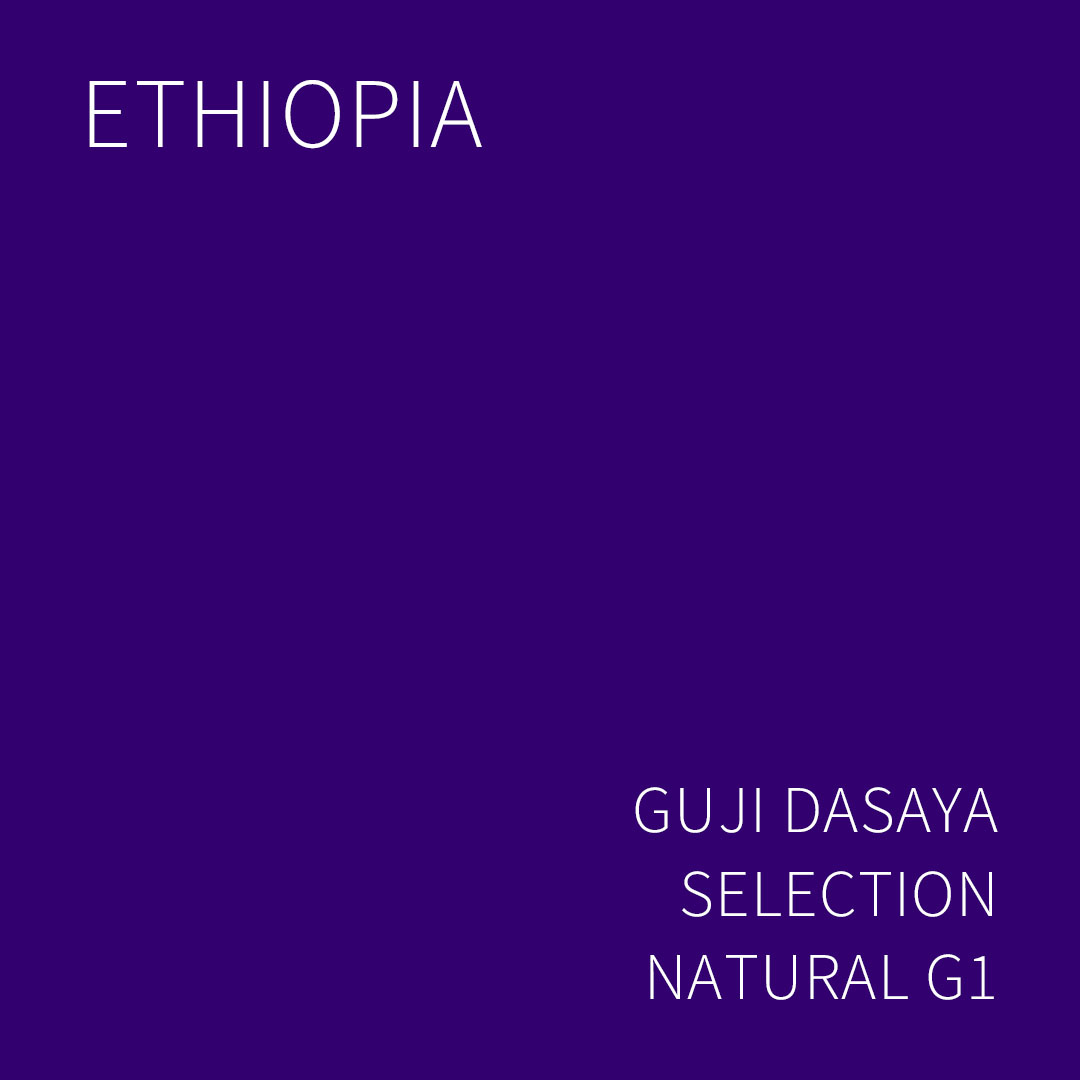 에티오피아 구지 다사야 셀렉션 내추럴 G1 5KG (ETHIOPIA GUJI DASAYA SELECTION NATURAL)