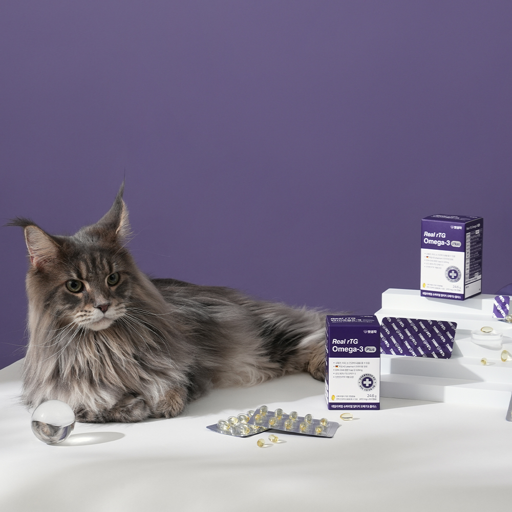 펫생각 오메가3, 강아지 오메가3 추천, KDpharma 오메가3 효능, 강아지 피부 영양제, 강아지 관절 영양제