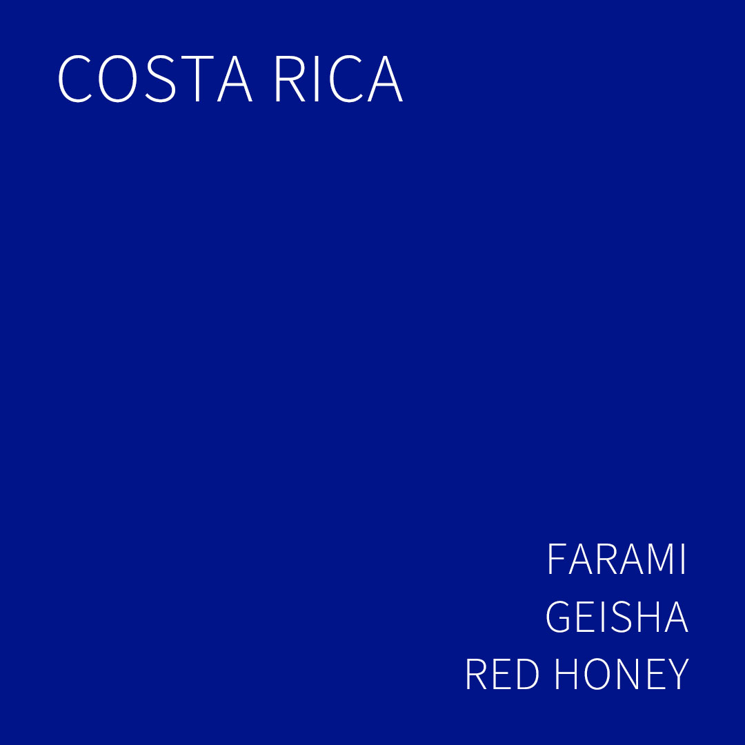 코스타리카 파라미 게이샤 레드 허니 5KG (COSTA RICA FARAMI GEISHA RED HONEY)