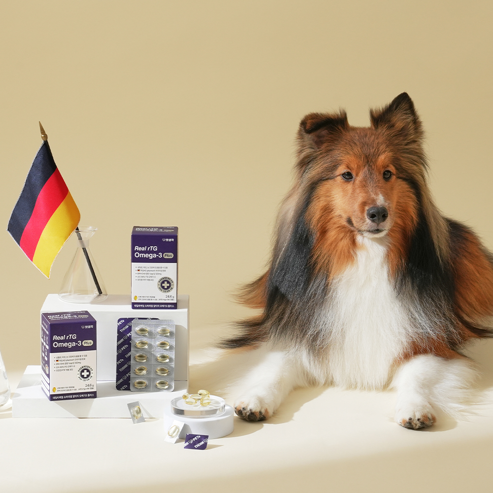 펫생각 오메가3, 강아지 오메가3 추천, KDpharma 오메가3 효능, 강아지 피부 영양제, 강아지 관절 영양제