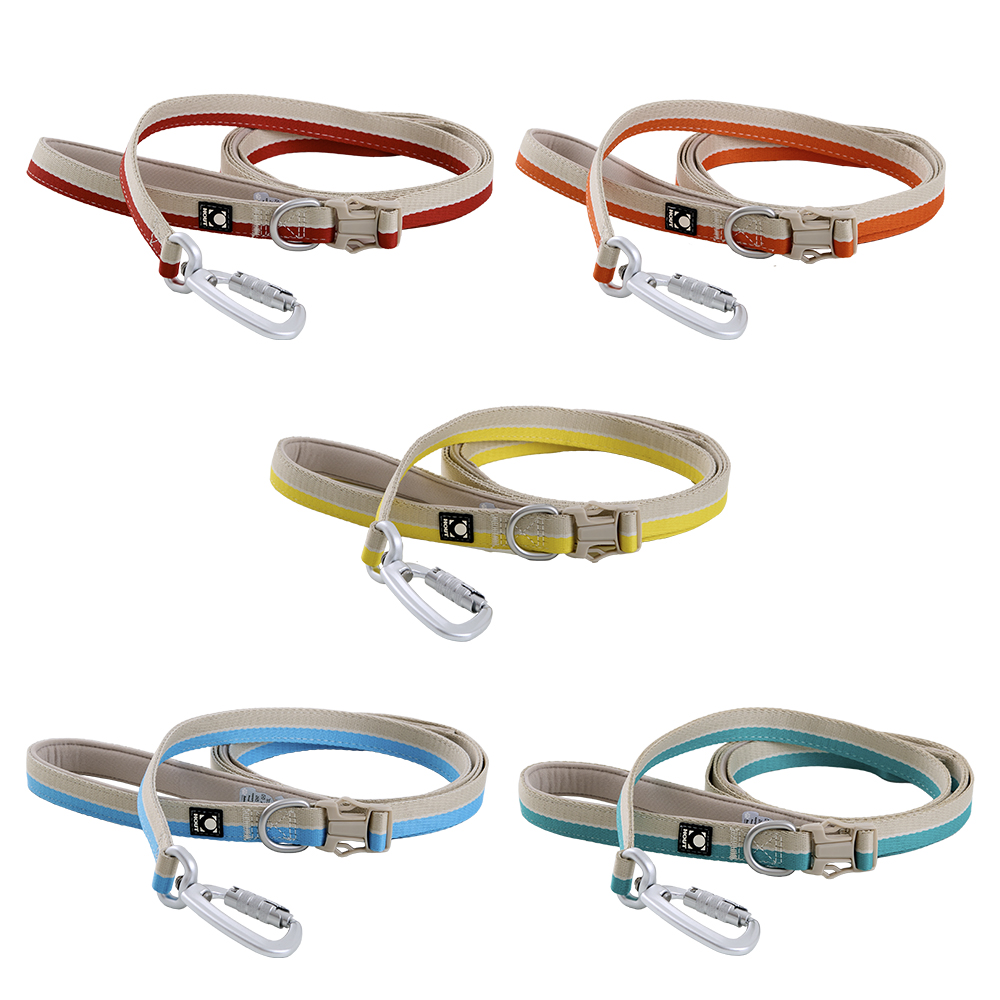 하웃 강아지 하네스 앞섬방지 가슴줄 H형 리드줄 세트