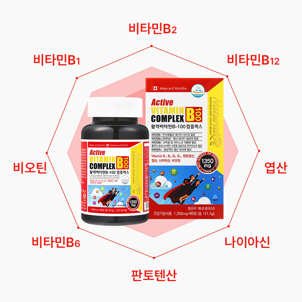 캐나다산 활성비타민B 컴플렉스 티아민 고농축 고함량 활력 비타민 b군 - 상세 이미지 2