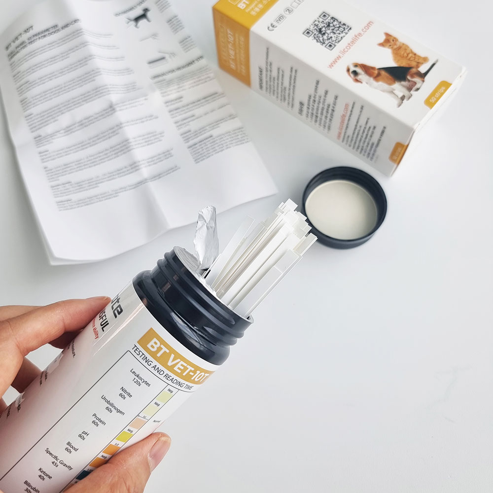 강아지소변검사 고양이소변 반려동물 건강 단백뇨염증 검사스틱 ph진단 50회