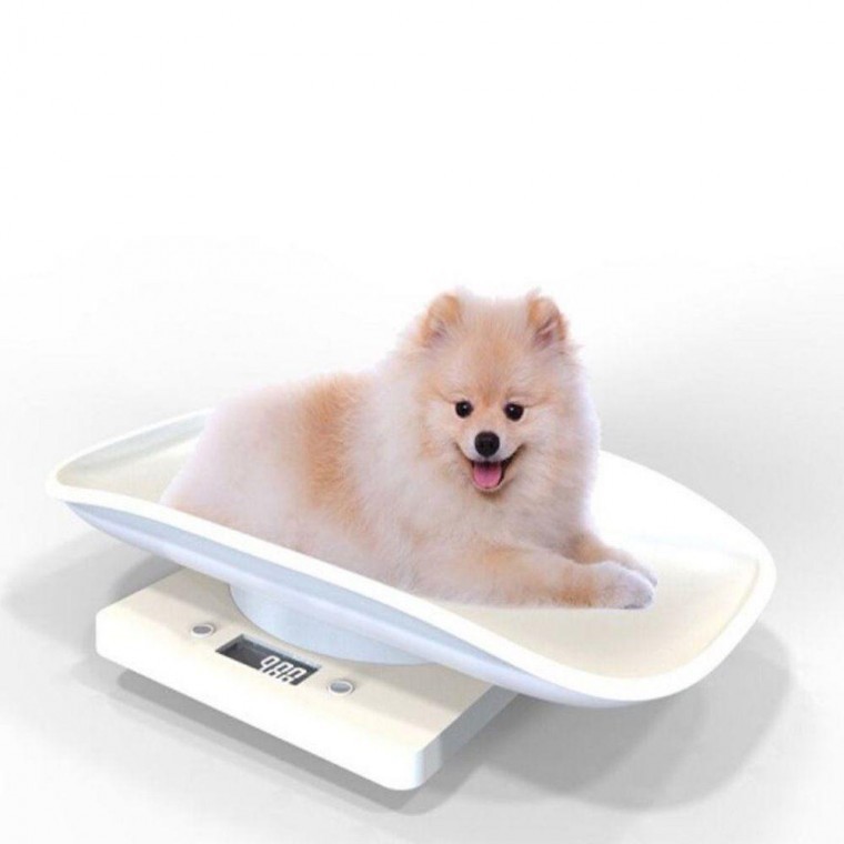 아기 고양이 강아지 저울 체중계 소형 소형동물 켓 펫 애견 고슴도치 햄스터 가정용 무게측정 : 939market