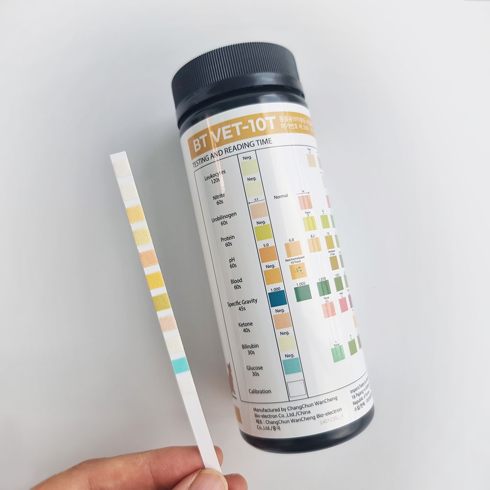 강아지소변검사 고양이소변 반려동물 건강 단백뇨염증 검사스틱 ph진단 50회