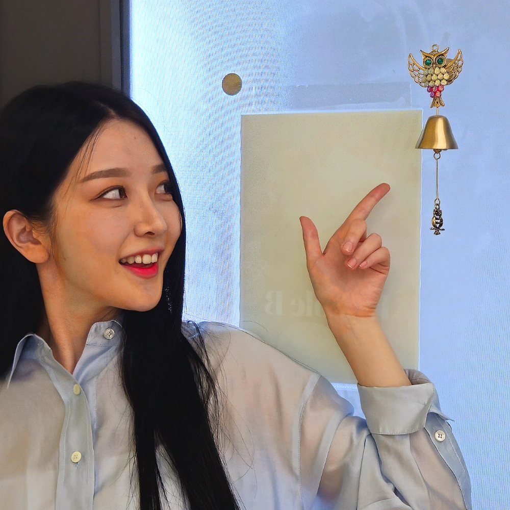 현관문종 현관종 문종 풍경종 날아올라 재물 부엉이 도어벨 개업 집들이선물