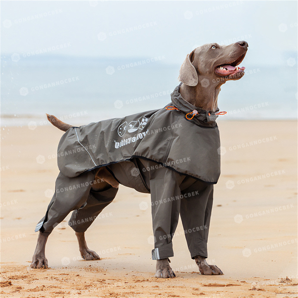대형견 우비 강아지 레인코트 애견 판초 비옷 L 다크카키