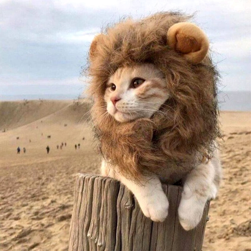 할인 가격 정보 강조