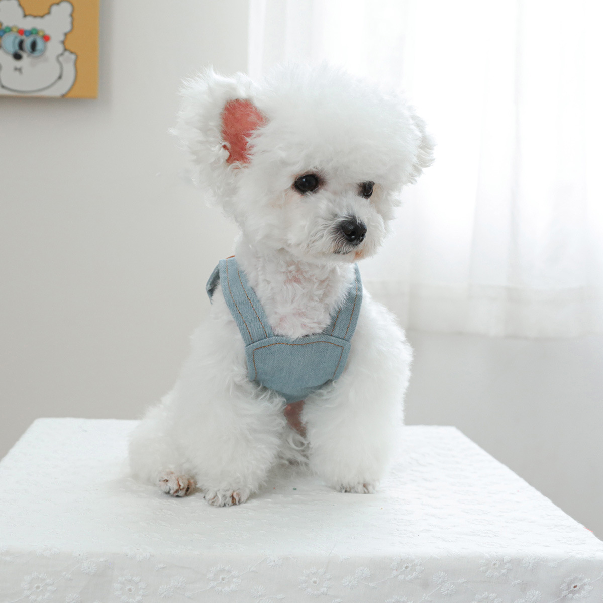 강아지옷 고양이 옷 귀여운 꽃무늬 데님 강아지몸빼 데이지올인원 - 상세 이미지 3