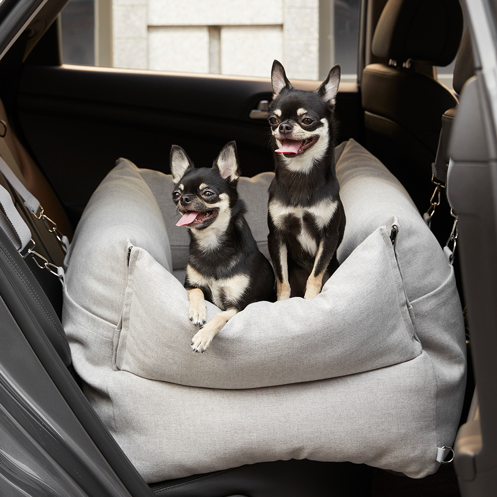 펫토 알러프리 카시트 강아지 고양이 드라이빙킷 M