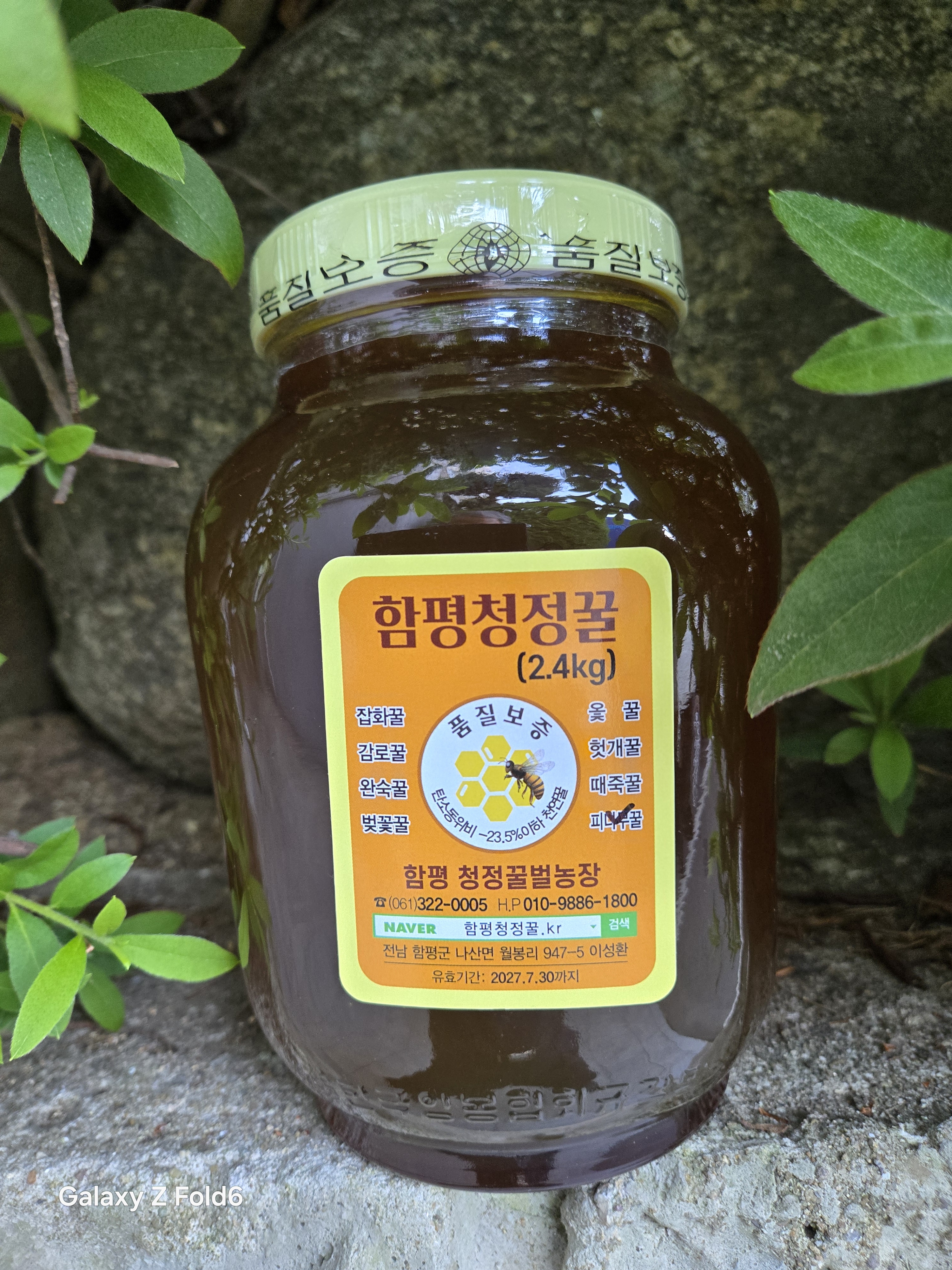 함평청정꿀 프리미엄 국내산 피나무꿀 자연 숙성 유리병 벌꿀 2.4kg - 상품 이미지