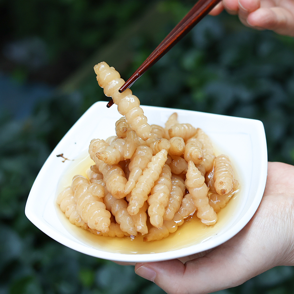 국산 초석잠 장아찌 골뱅이형 아삭아삭 순창 장담아 1kg, 1개 - 상세 이미지 4