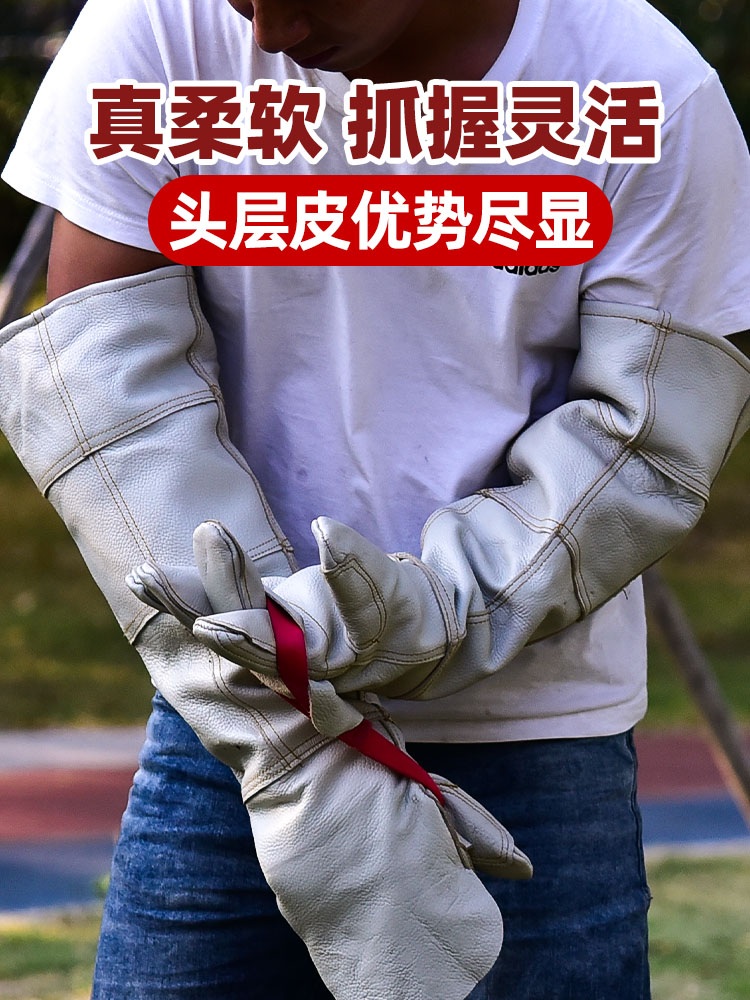 물림방지장갑 훈련 조련용 손보호 애완동물 소가죽 맹금류 60cm 1차 가죽 - 상세 이미지 4