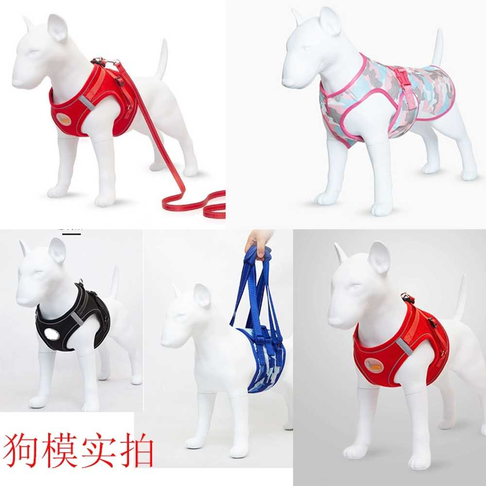 강아지 마네킹 애견 피팅 모델 인형 서있는자세 진열 흰색 앞다리 분리형 불테리어 - 상세 이미지 2