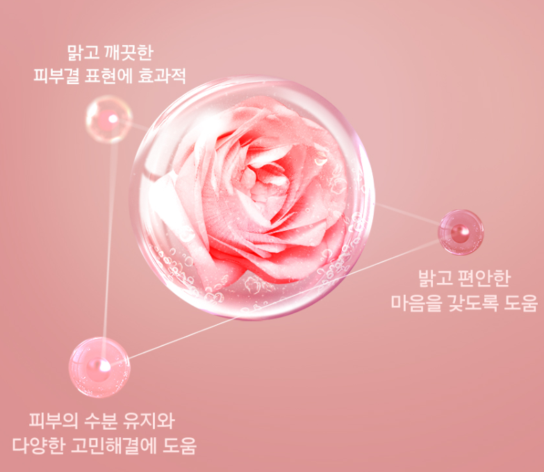 장미오일효능 불가리아 장미오일 아로마용 식물성 로즈 힙 10ml - 상세 이미지 5
