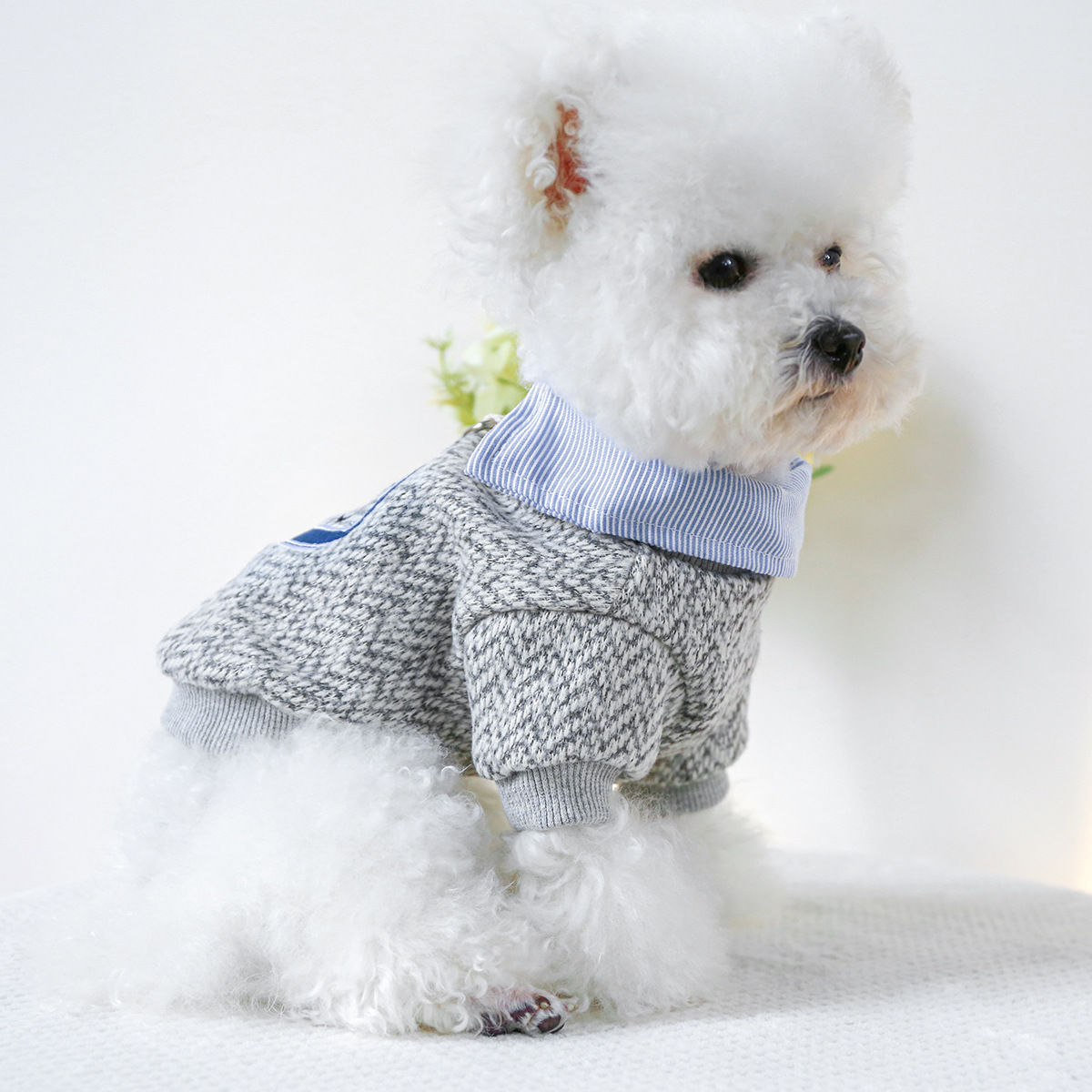 강아지옷 고양이 옷 자수 레터링 디테일 투피스 스타일 댕댕이 힙한 스웨터셔츠