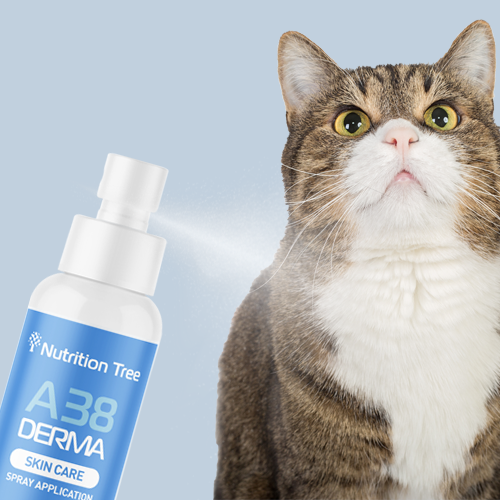 뉴트리션트리 더마 고양이 강아지 피부 발사탕 보습 미스트 100ml - 상세 이미지 2