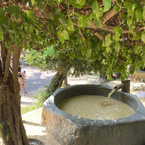 [머드온천+스노클링]나트랑 혼문-혼땀섬 머드스파 스노쿨링 호핑투어 액티비... 솔직 후기 | 실사용자 리뷰 분석 - 상품 이미지 2