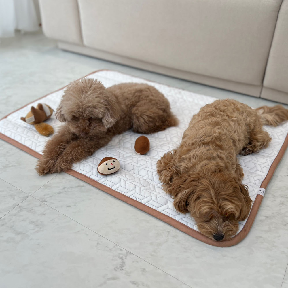 투인플레이스 강아지 고양이 쿨매트 듀라론 냉감 매트 L (65X45) 이미지 3