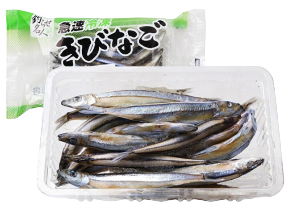 키비나고 샛줄멸 멸치미끼 100g 하마치 텐야 갈치 장어낚시 생미끼 바다낚시 이미지 2
