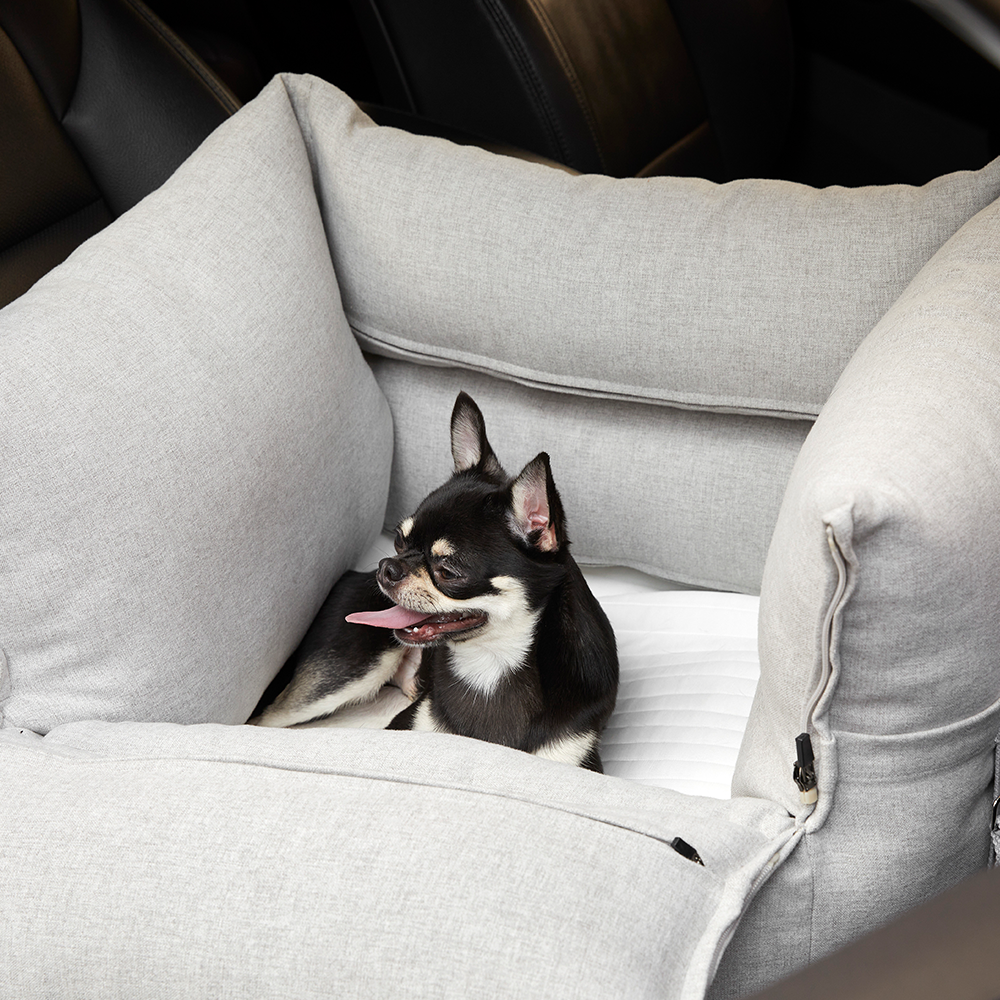 펫토 알러프리 카시트 강아지 고양이 드라이빙킷 M