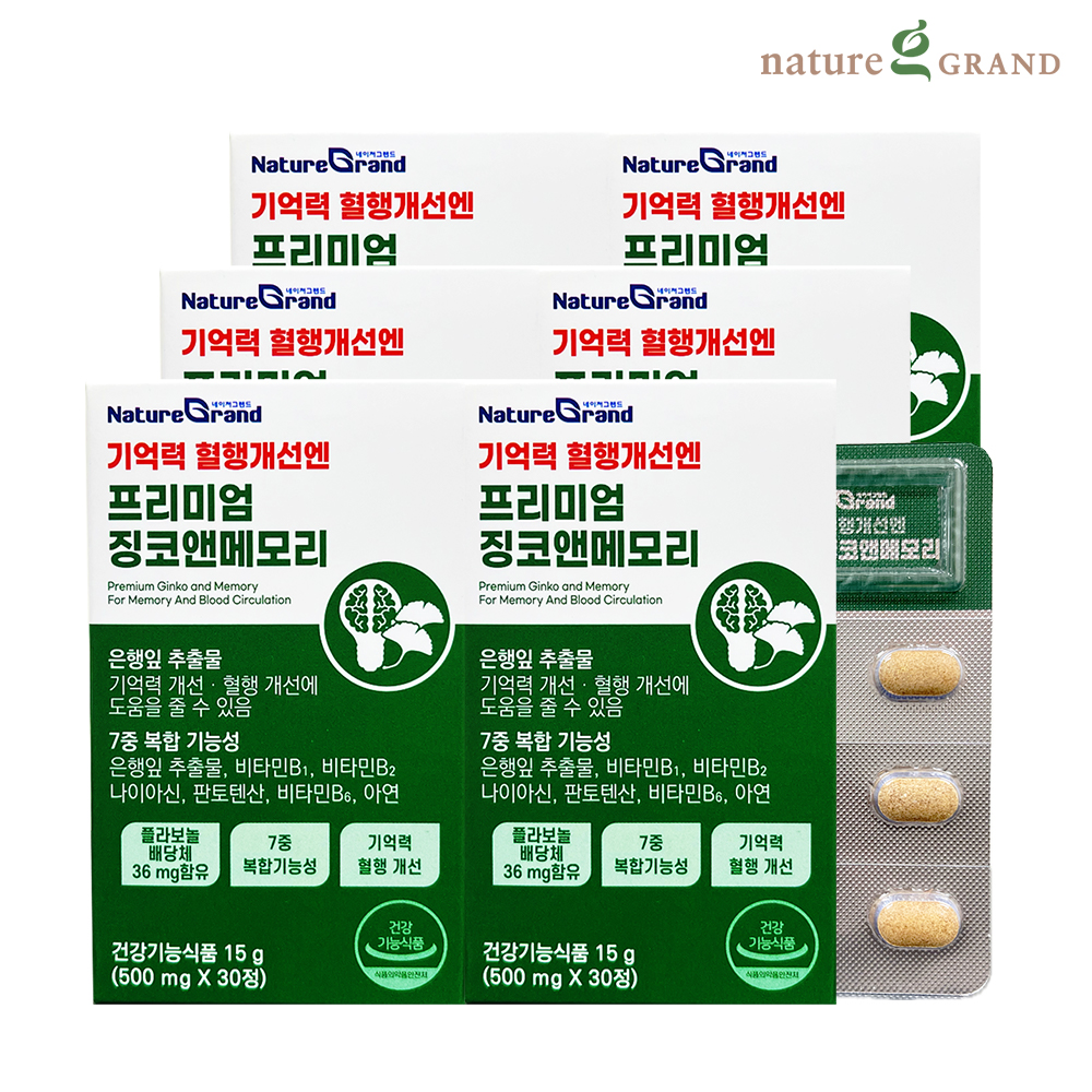 네이처그랜드 프리미엄 징코 메모리 6박스 6개월분 기억력개선 은행잎추출물 제품 이미지