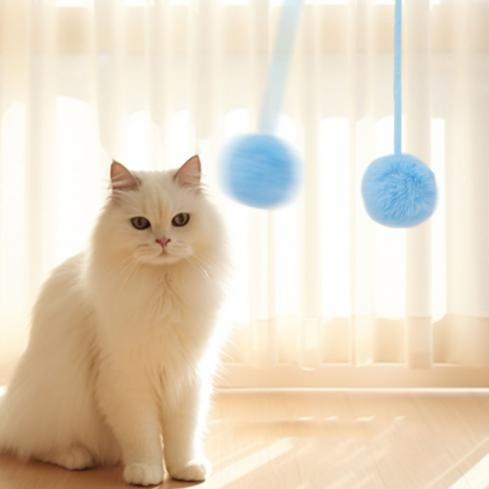 크레용펫 고양이 양모볼 장난감 스프링 낚시대 장난감 - 상세 이미지 4