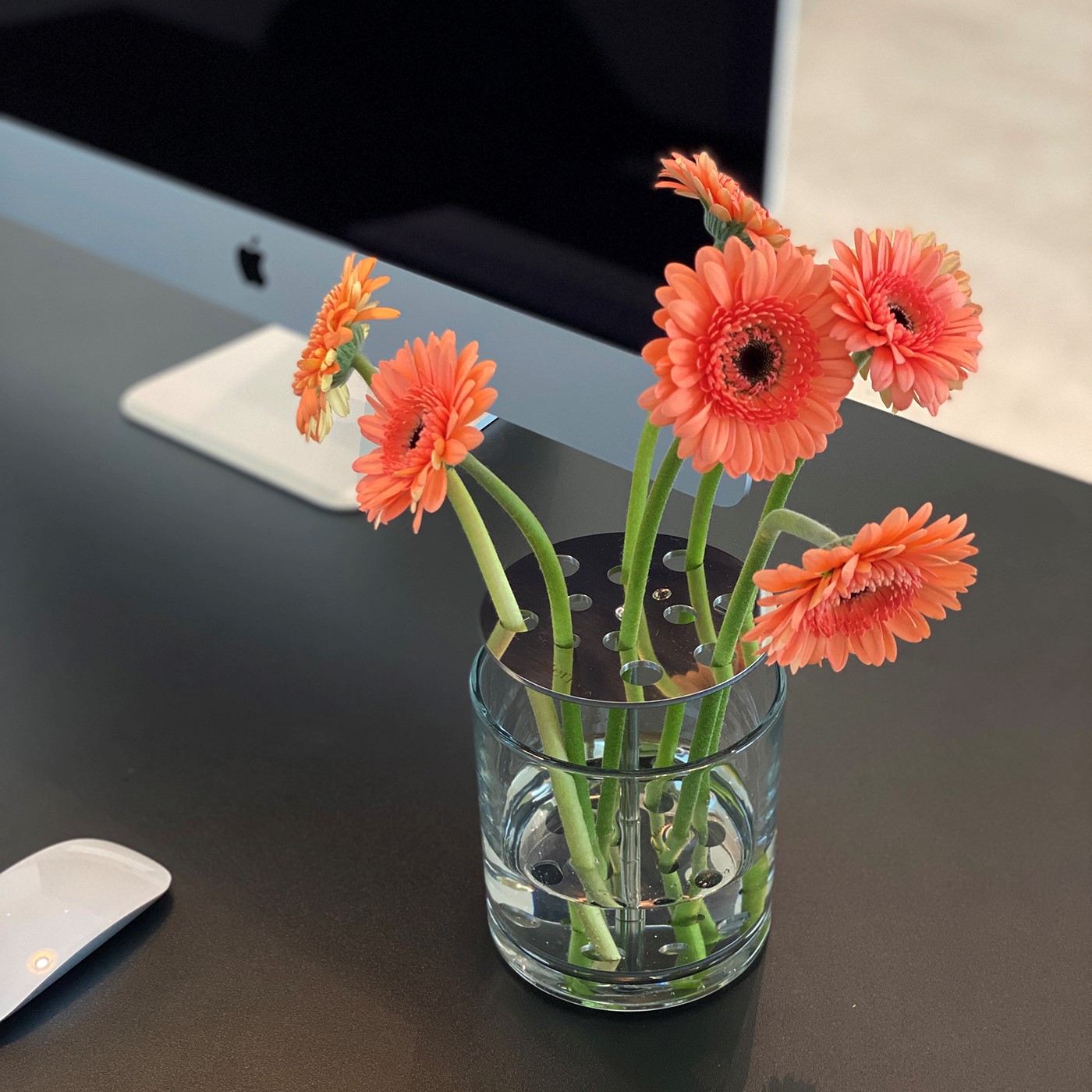 네르하 이케바나 화병 유리 꽃꽂이 화병 꽃병