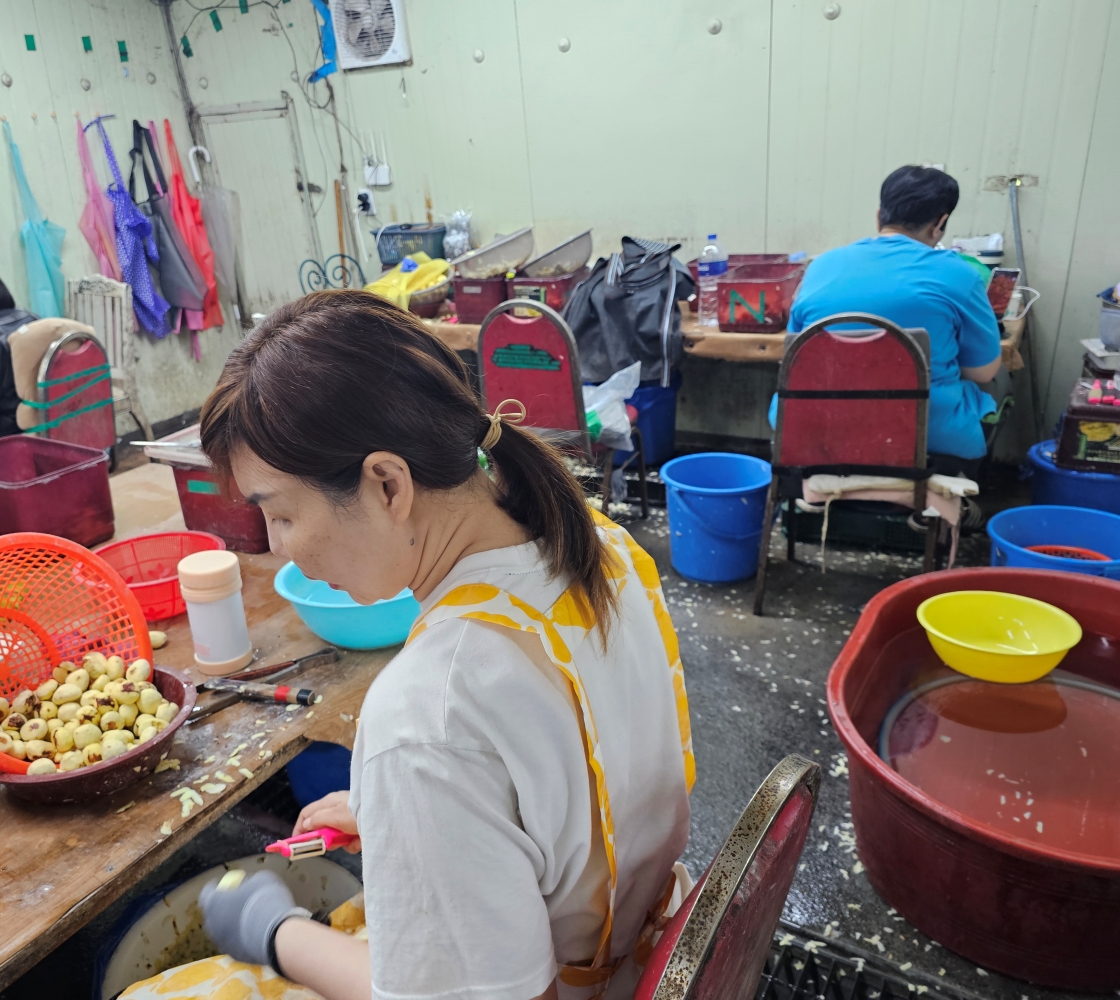 노루골농원 깐생밤 생률 깐밤 특대5kg 이미지 7