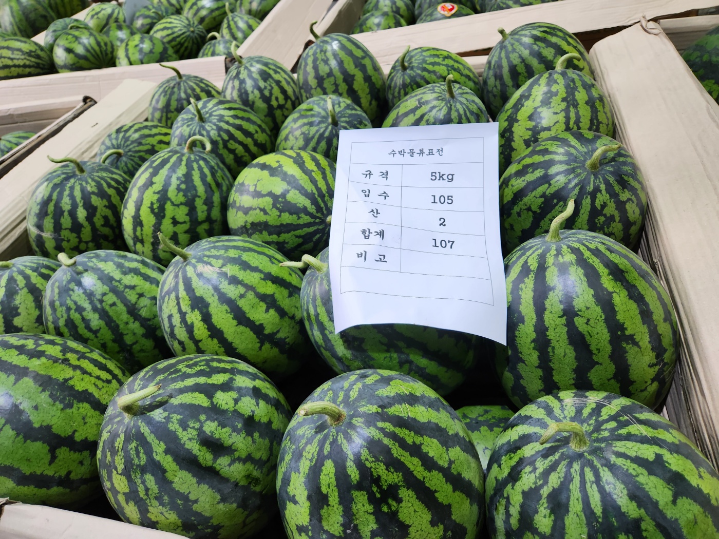 고당도 정품수박 당일수확 산지직송 화채 3-7kg 하우스재배 프리미엄 수박 - 상세 이미지 2
