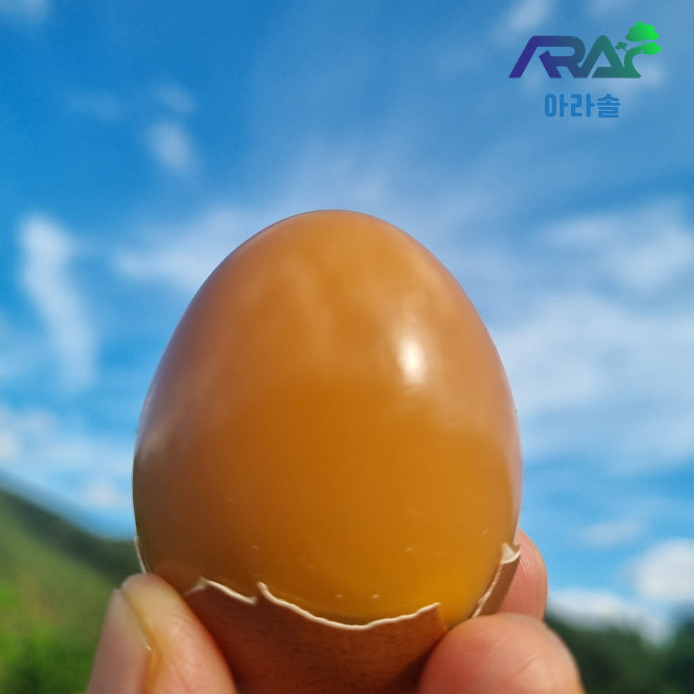 구운계란 구운란 60구