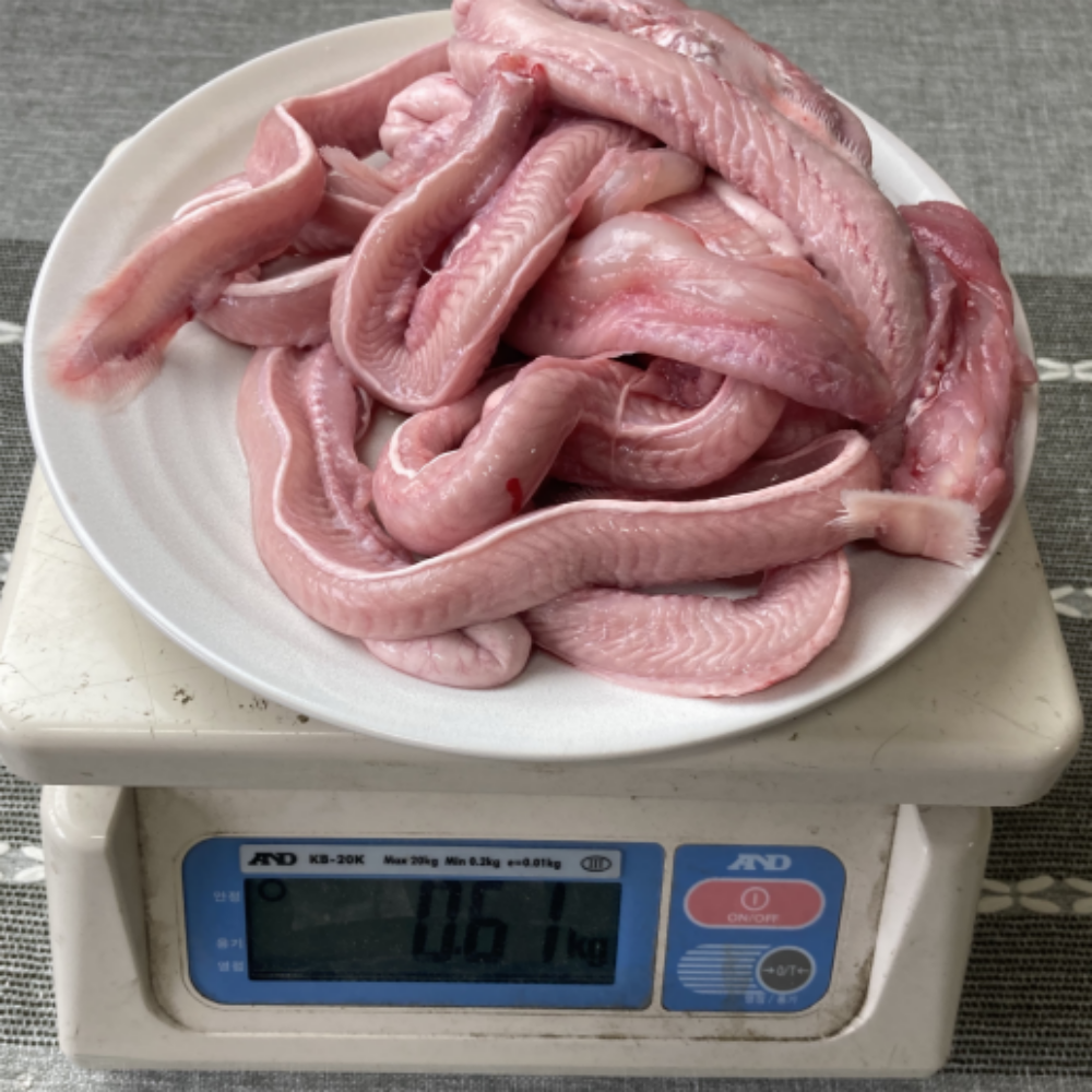 생물 꼼장어 1kg, 1개 - 상세 이미지 2