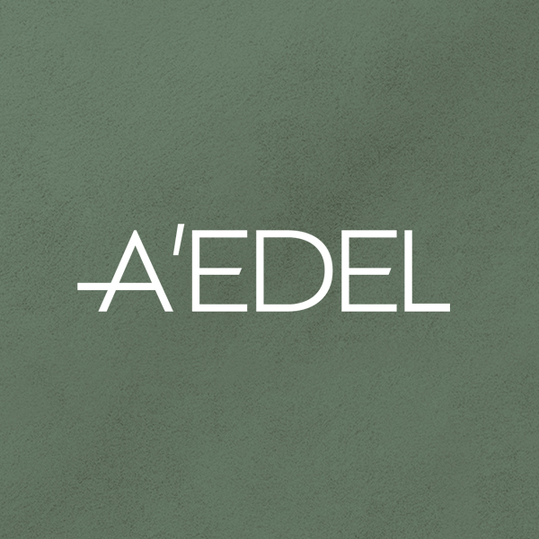 에이델 AEDEL 스토어 로고