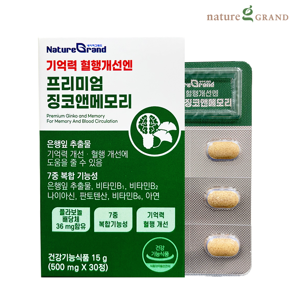 네이처그랜드 프리미엄 징코 메모리 1박스 1개월분 기억력개선 은행잎추출물 - 메인 이미지