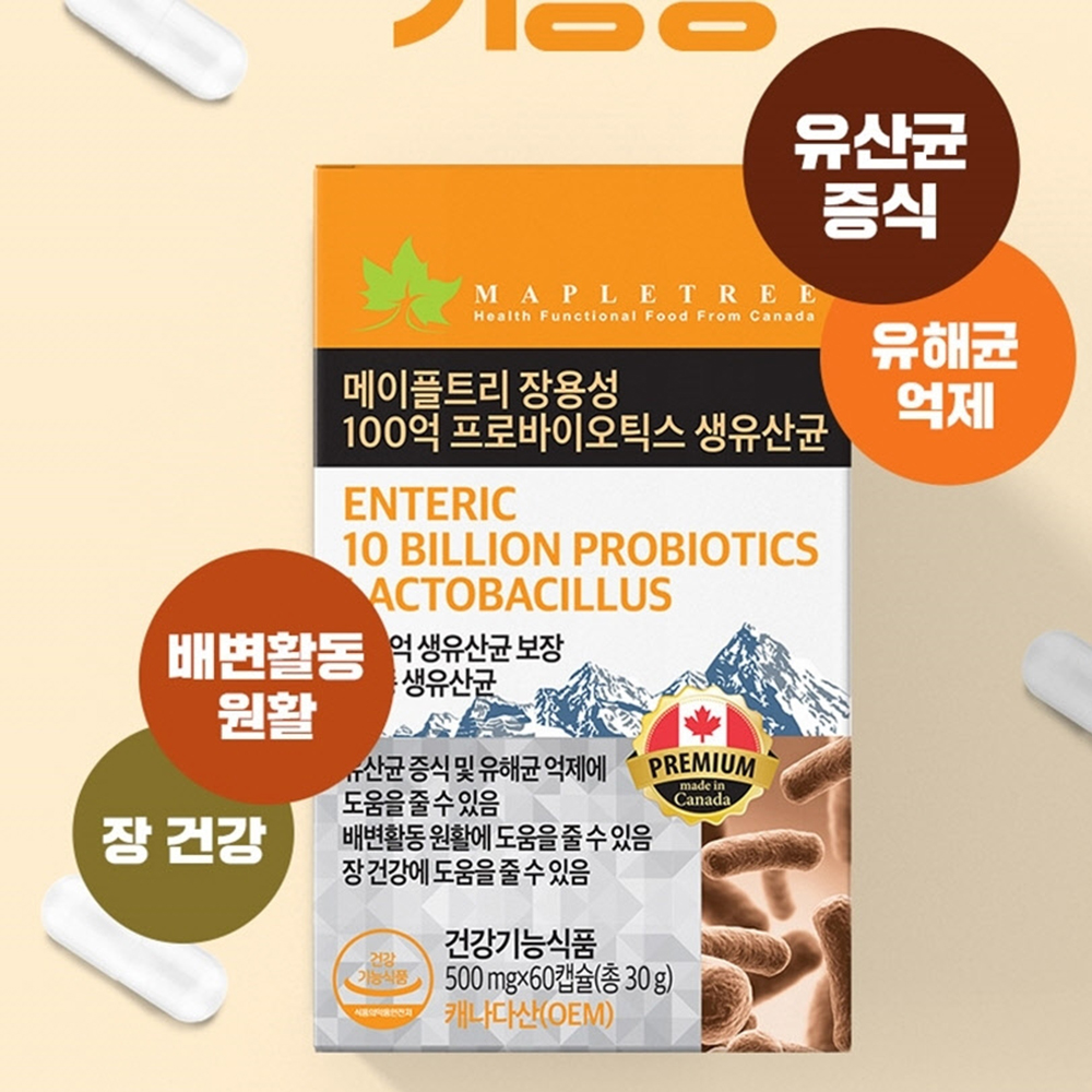 캐나다산 장용성 100억 cfu 유산균 패밀리 장건강 잔변감 60캡슐 - 상세 이미지 2