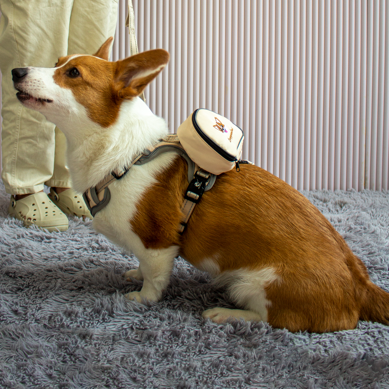 펫스츄리 강아지 가방 하네스 자수 이름표 에어백 캐릭터 XS S