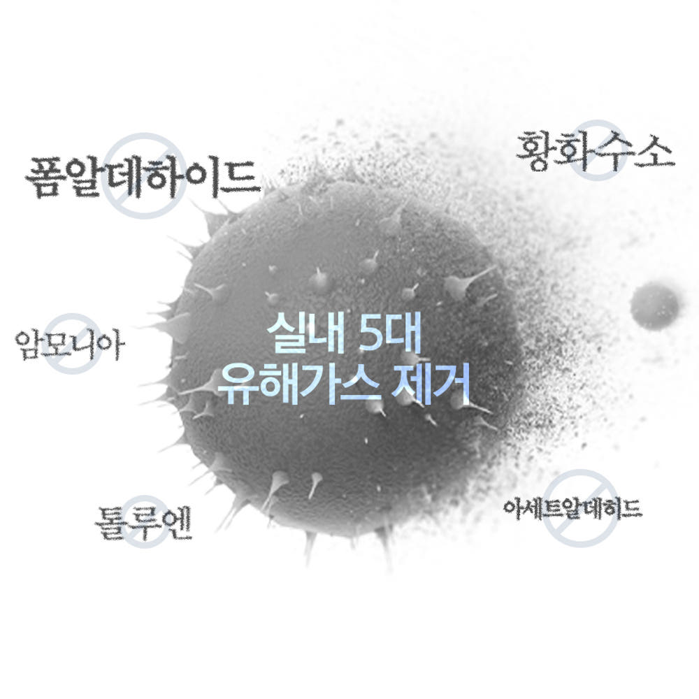 필터 상세