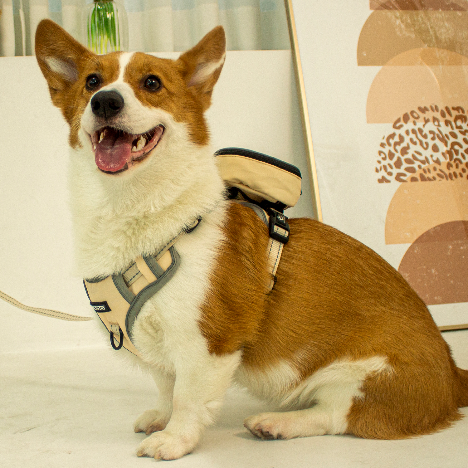 펫스츄리 강아지 가방 하네스 자수 이름표 에어백 캐릭터 XS S