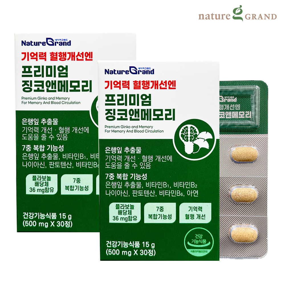 네이처그랜드 프리미엄 징코 메모리 2박스 2개월분 기억력개선 은행잎추출물 - 메인 이미지