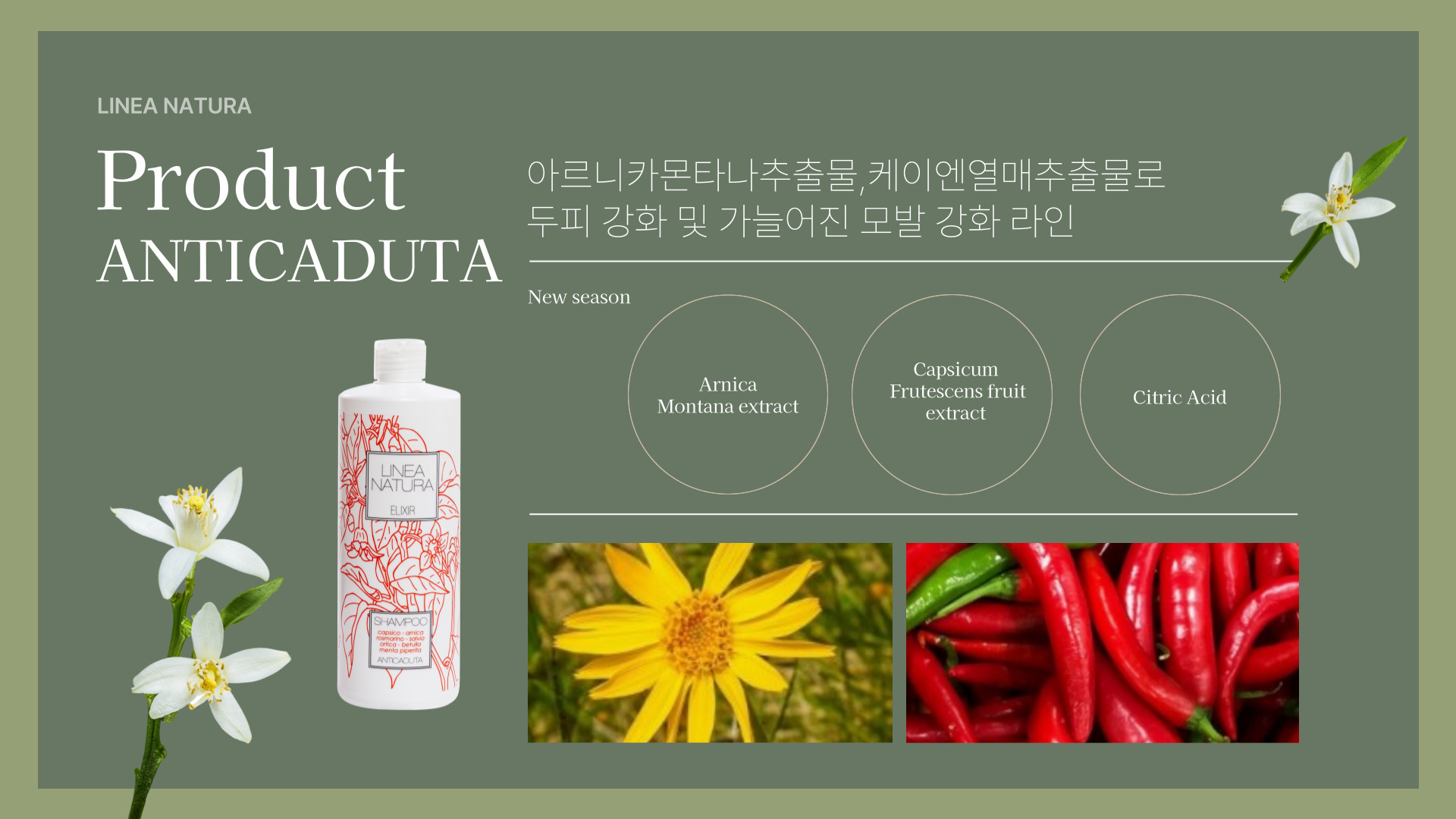 리나나투라 이태리 미용실 샴푸 명절 선물 세트 대량 구매 2개씩 20박스 - 상세 이미지 3