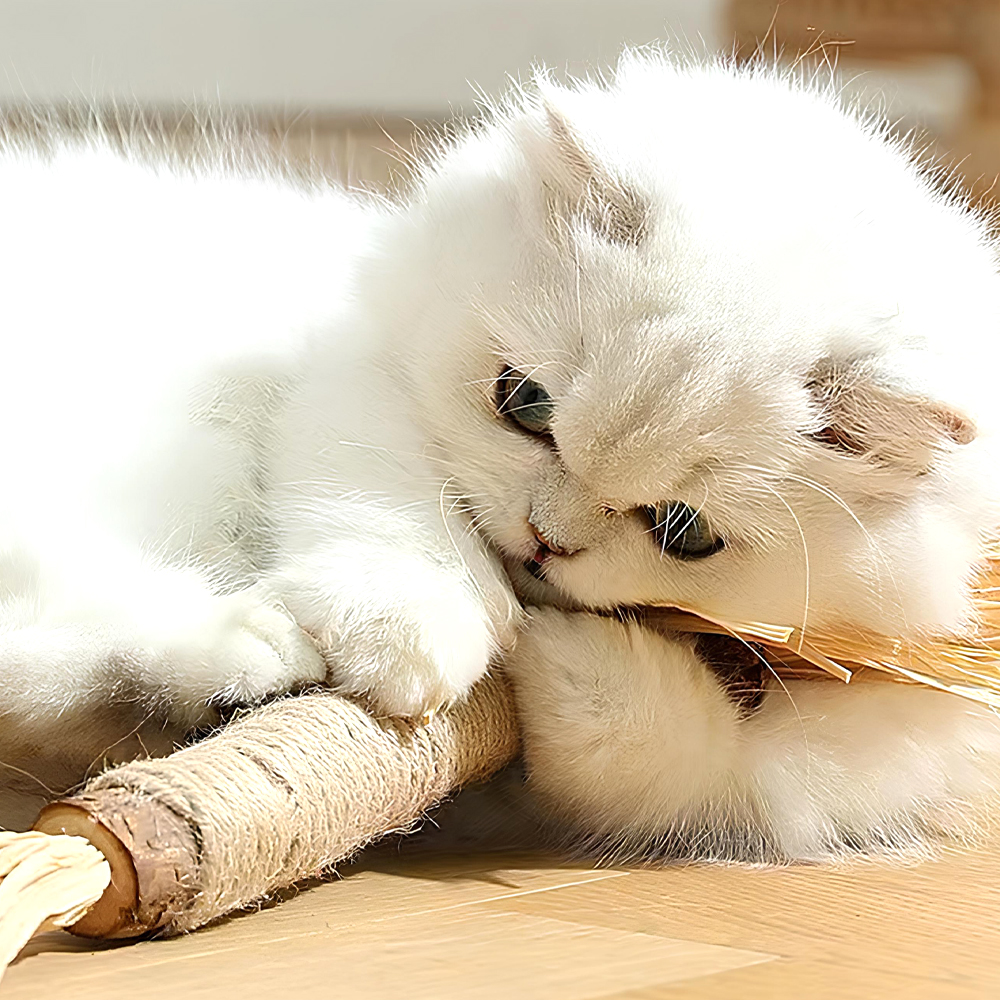 랩캣 고양이 슈퍼 왕따따비 사이잘 스틱 마따따비 캣닢 깃털 장난감 - 상세 이미지 5